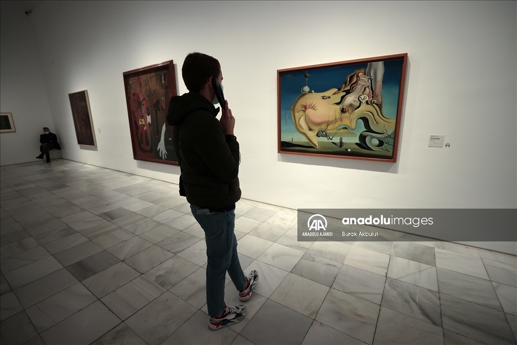 İspanya'nın modern sanat ve çağdaş sanatlar müzesi: Reina Sofia