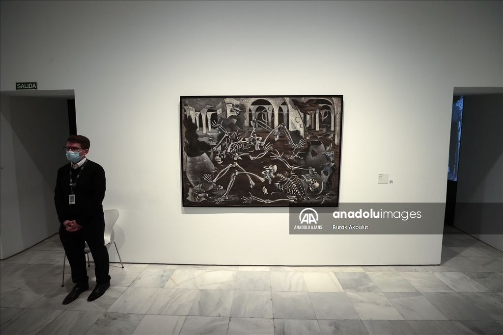 İspanya'nın modern sanat ve çağdaş sanatlar müzesi: Reina Sofia