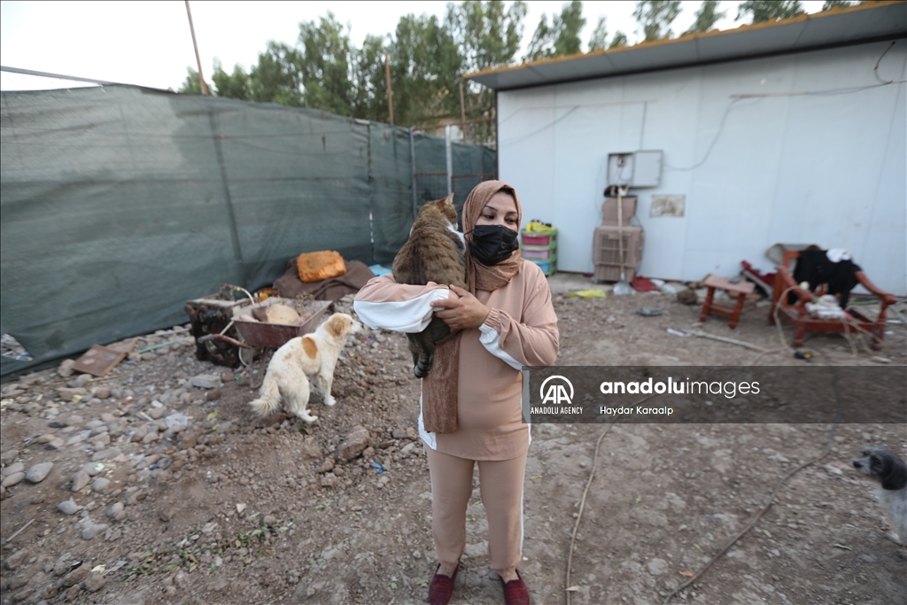 أم عبودي.. سيدة عراقية ترعى الحيوانات المعنّفة في بغداد