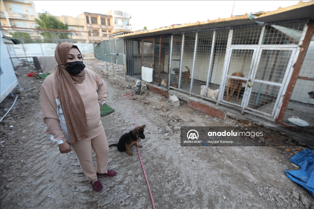 أم عبودي.. سيدة عراقية ترعى الحيوانات المعنّفة في بغداد