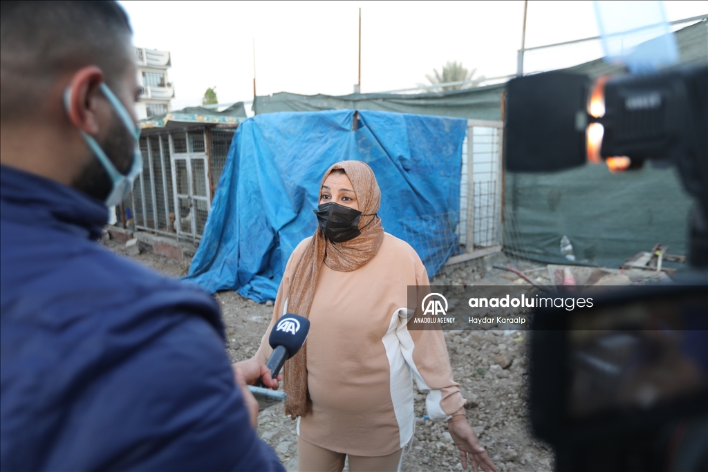 أم عبودي.. سيدة عراقية ترعى الحيوانات المعنّفة في بغداد