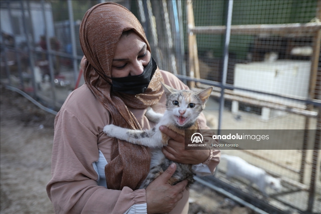 أم عبودي.. سيدة عراقية ترعى الحيوانات المعنّفة في بغداد