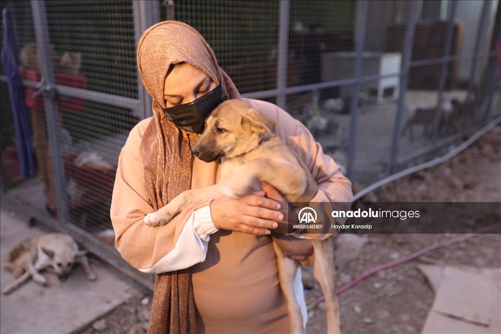 أم عبودي.. سيدة عراقية ترعى الحيوانات المعنّفة في بغداد