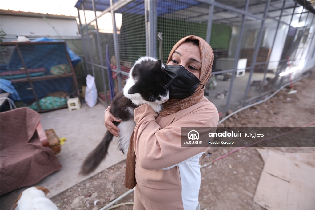 أم عبودي.. سيدة عراقية ترعى الحيوانات المعنّفة في بغداد