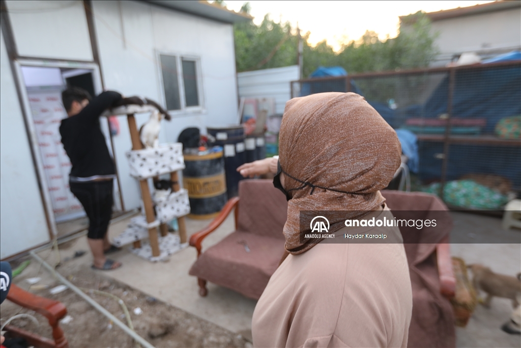 أم عبودي.. سيدة عراقية ترعى الحيوانات المعنّفة في بغداد