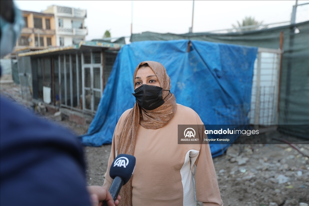 أم عبودي.. سيدة عراقية ترعى الحيوانات المعنّفة في بغداد