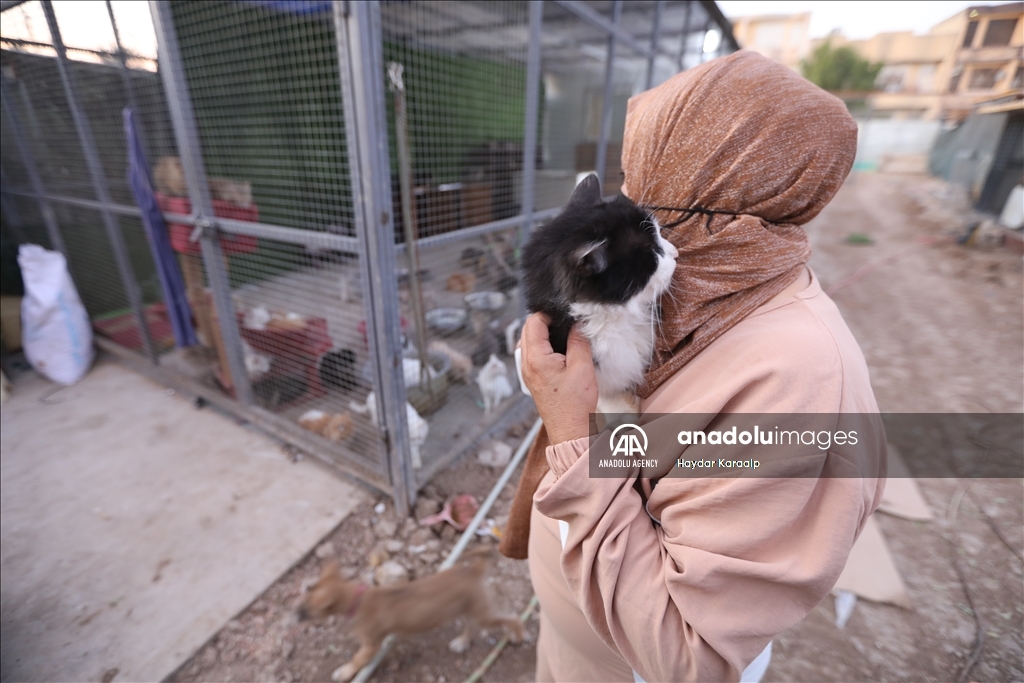 أم عبودي.. سيدة عراقية ترعى الحيوانات المعنّفة في بغداد