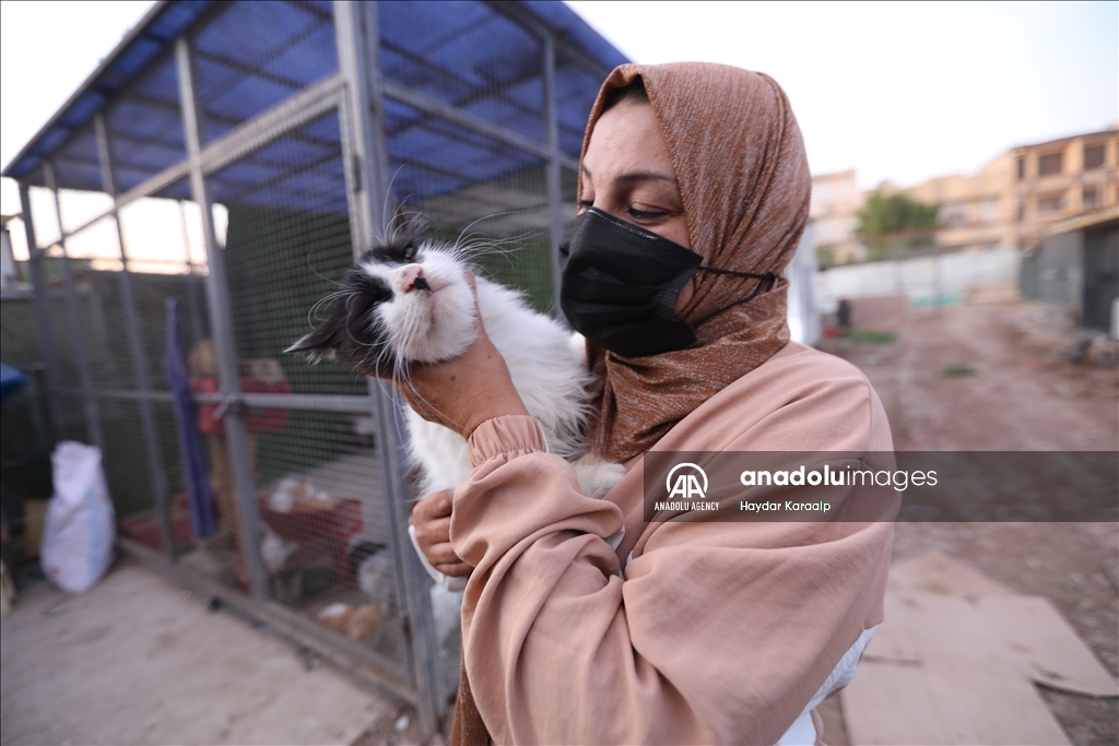 أم عبودي.. سيدة عراقية ترعى الحيوانات المعنّفة في بغداد