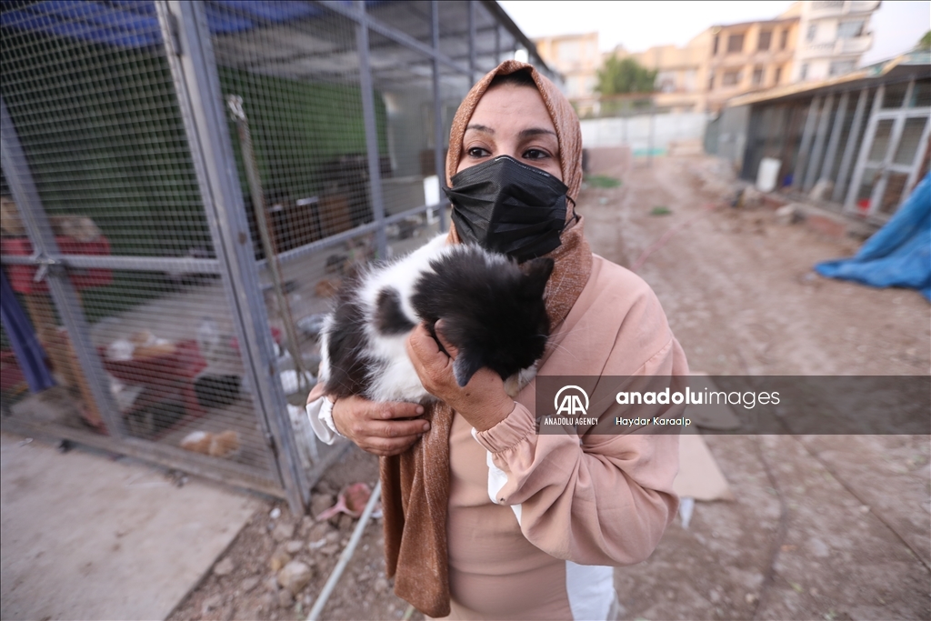 أم عبودي.. سيدة عراقية ترعى الحيوانات المعنّفة في بغداد
