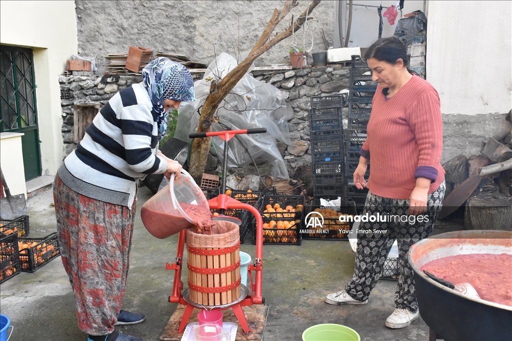 Turquie : Elles transforment les restes de kakis en mélasse