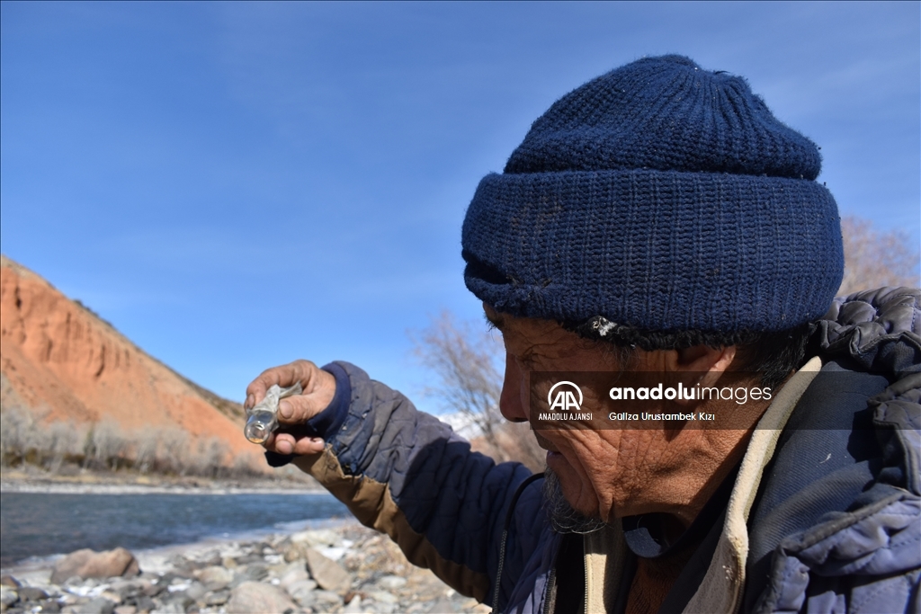 Kırgızistan’ın Narın bölgesindeki köylüler, nehirde altın madenciliği yapıyor