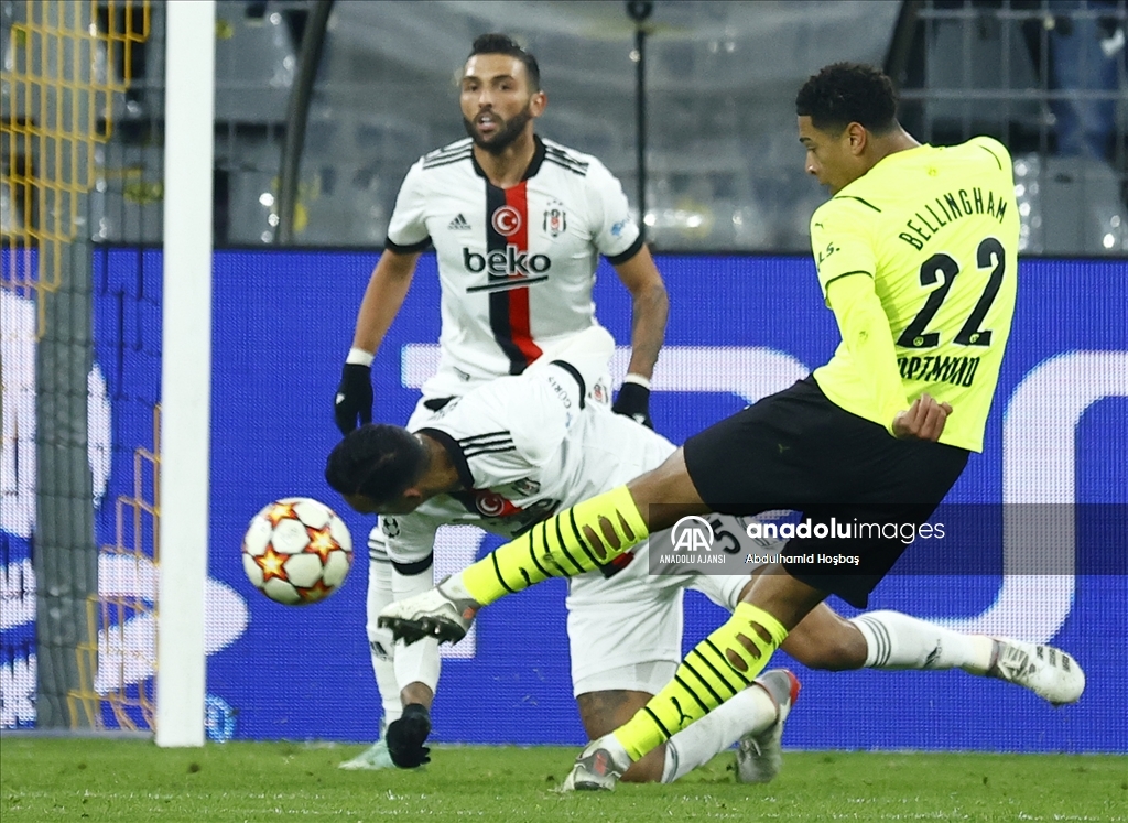 Borussia Dortmund-Beşiktaş