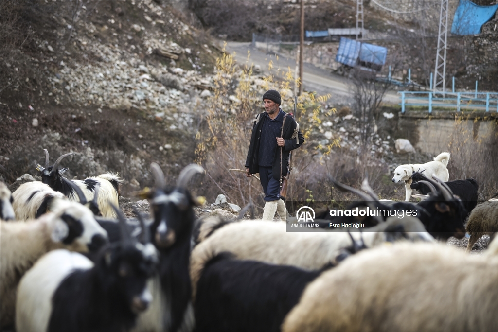 Erzincan'da çobanlar ilk karın düşmesiyle köylere göç etmeye başladı
