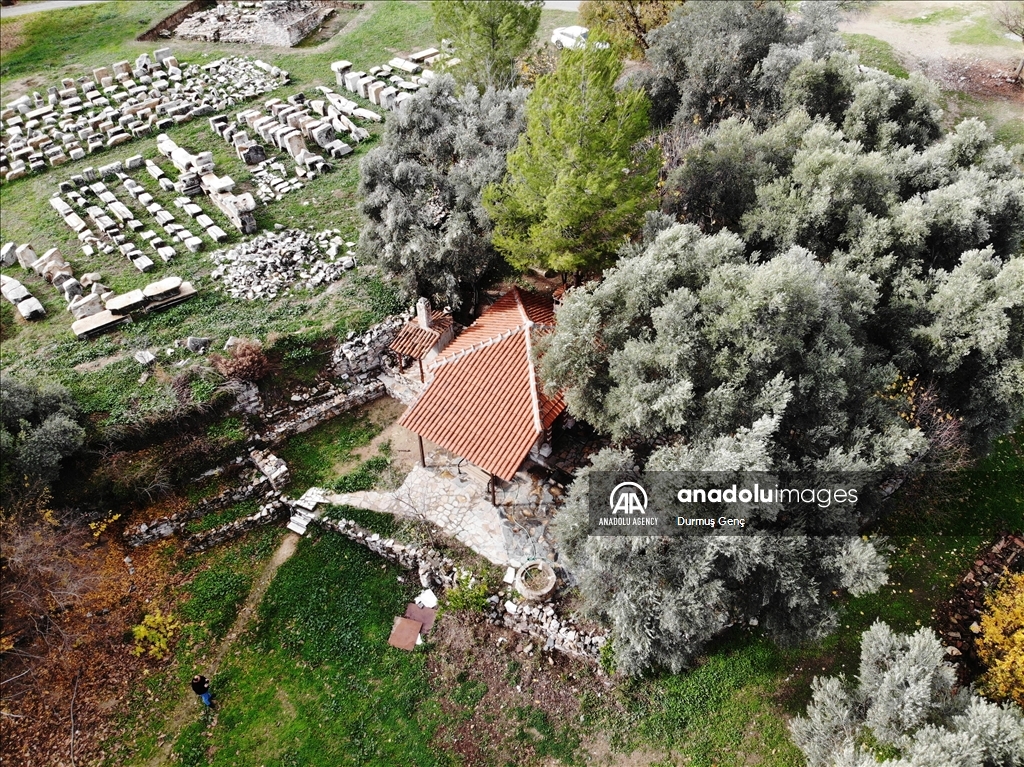 Les arbres monumentaux de Turquie... une place particulière dans la mémoire collective