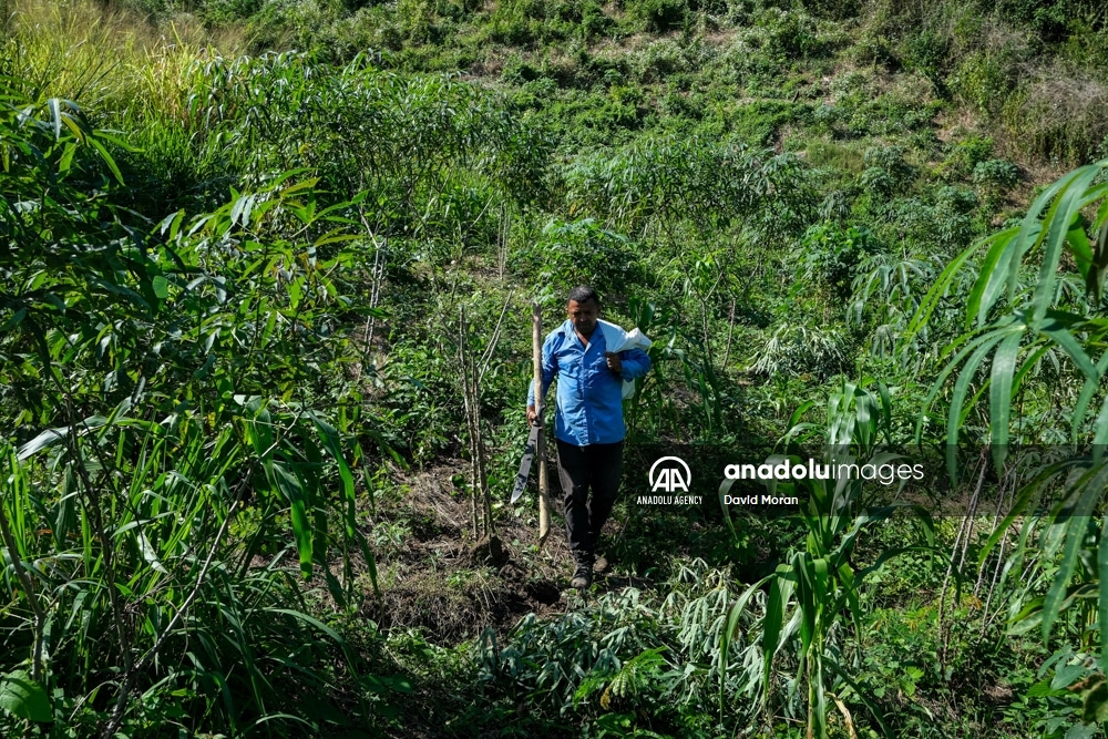 El trabajo de un payaso en Colombia que ayuda a los más débiles durante la pandemia