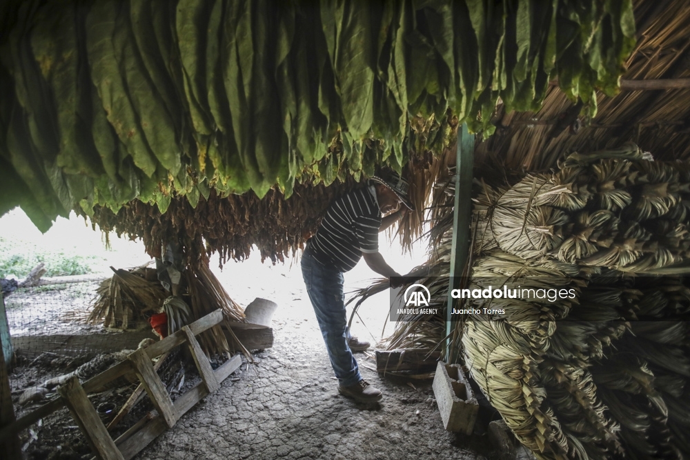 Coloso, la población que casi desaparece después de un largo conflicto armado y ahora busca oportunidades en el ecoturismo en Colombia