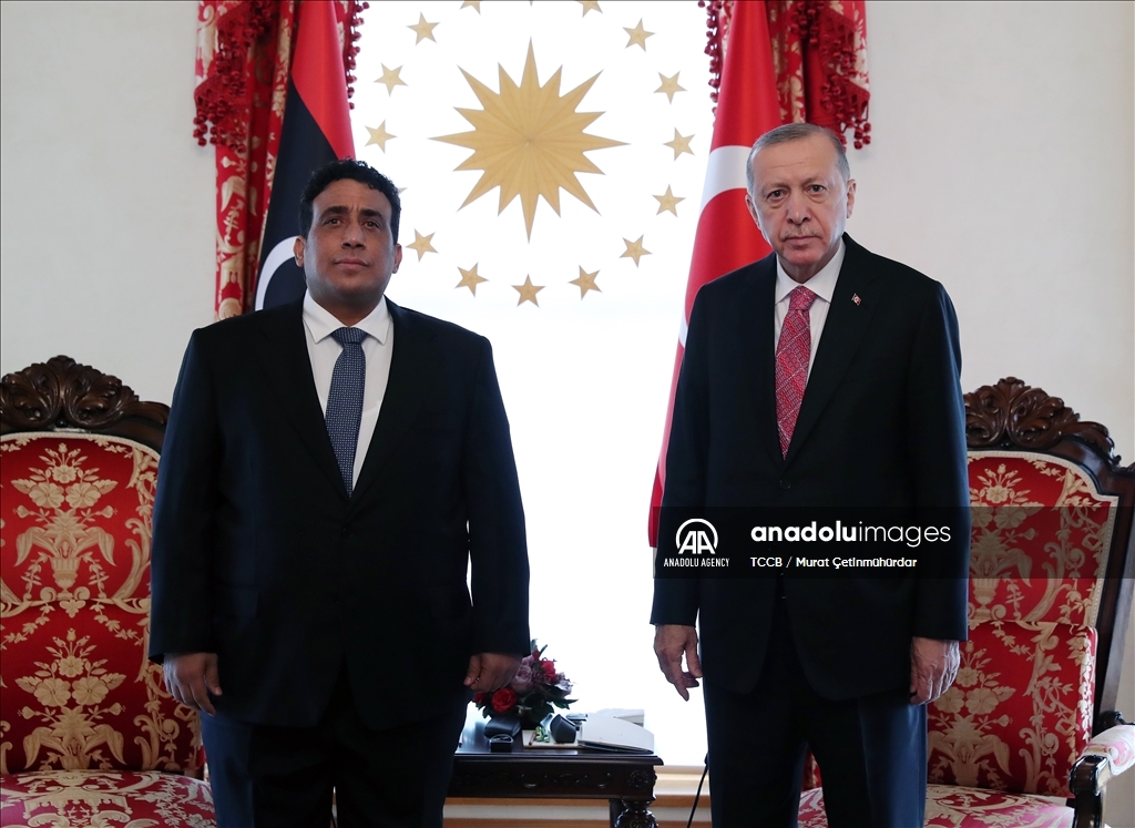 Эрдоган проводит встречи с лидерами стран Африки