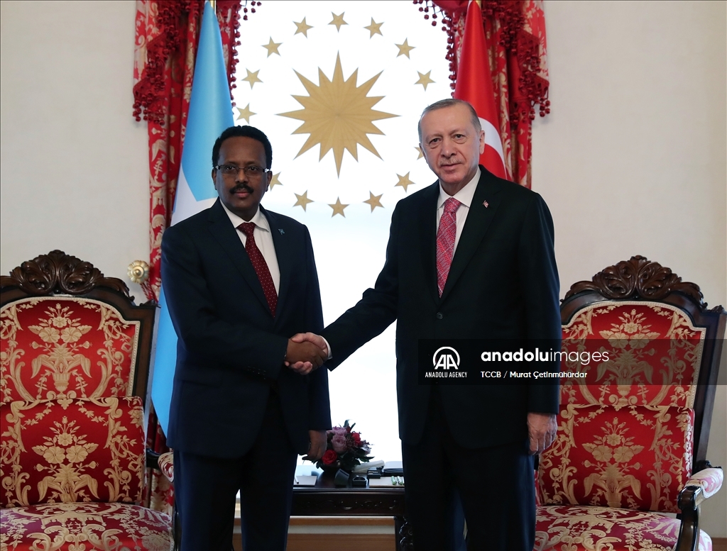 Эрдоган проводит встречи с лидерами стран Африки