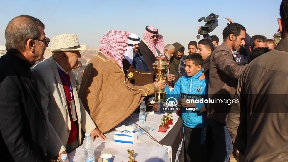 Mısır'daki "Arap kabileleri at yarışında" kupayı 12 yaşındaki jokey kaldırdı