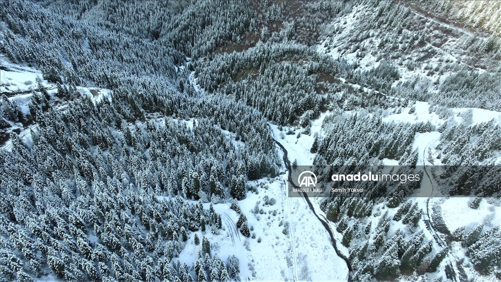 Kastamonu'daki Yaralıgöz Dağı karla buluştu