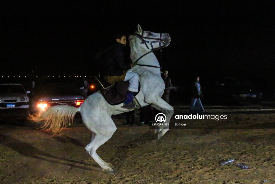 Mısır'daki "Arap kabileleri at yarışında" kupayı 12 yaşındaki jokey kaldırdı