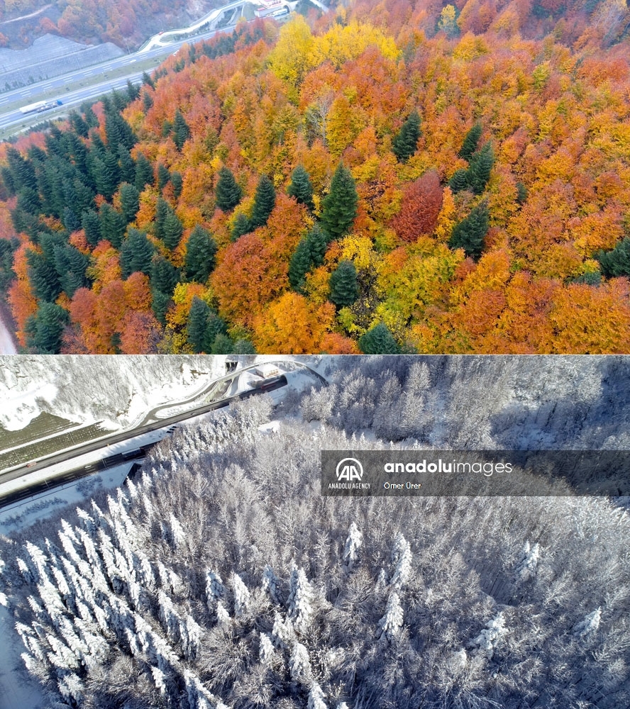 El contraste entre el otoño y el invierno en Duzce, Turquía