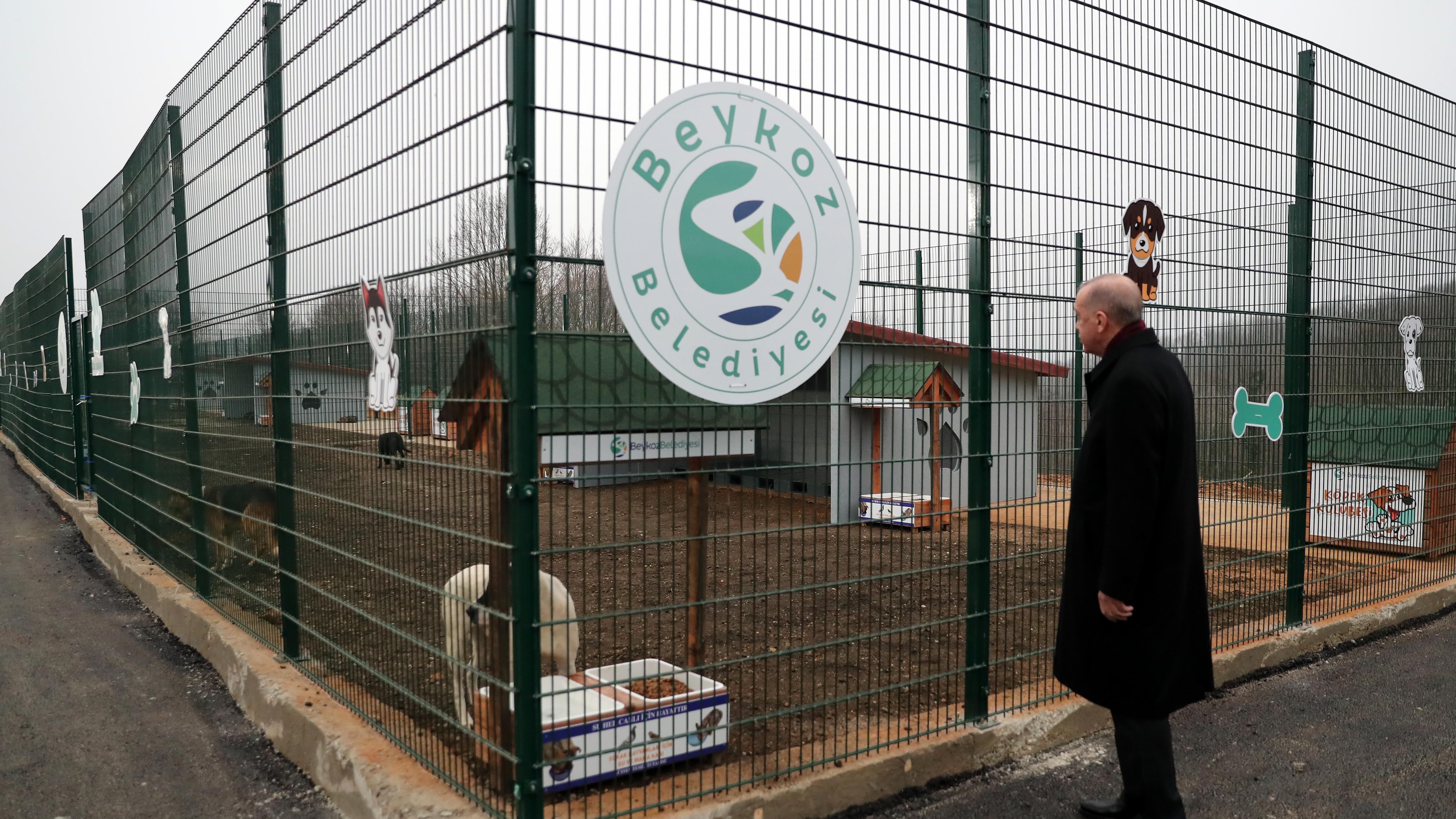Cumhurbaşkanı Erdoğan, Beykoz hayvan barınağını ziyaret etti