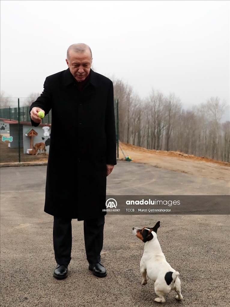 الرئيس أردوغان يتفقد مركزا لرعاية الحيوانات بإسطنبول