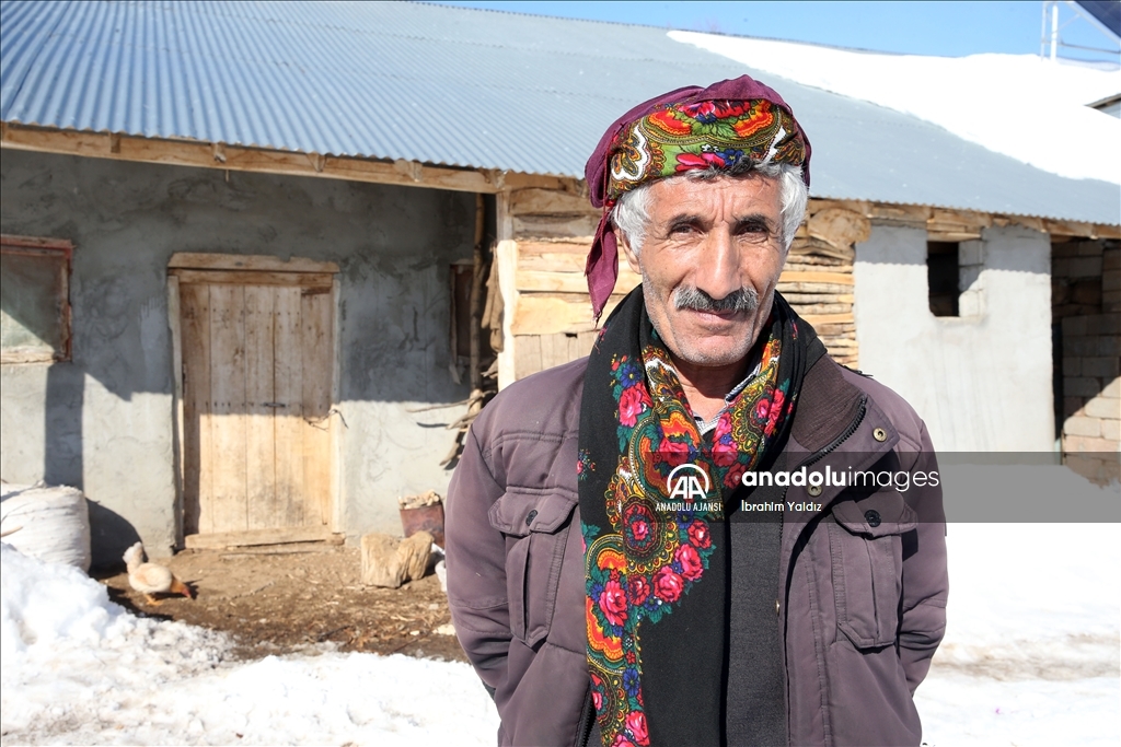 Muş'ta besiciler, yayladaki sürülerini karlı dağları aşarak köye ulaştırdı