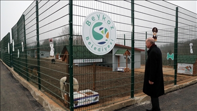 Cumhurbaşkanı Erdoğan, Beykoz hayvan barınağını ziyaret etti