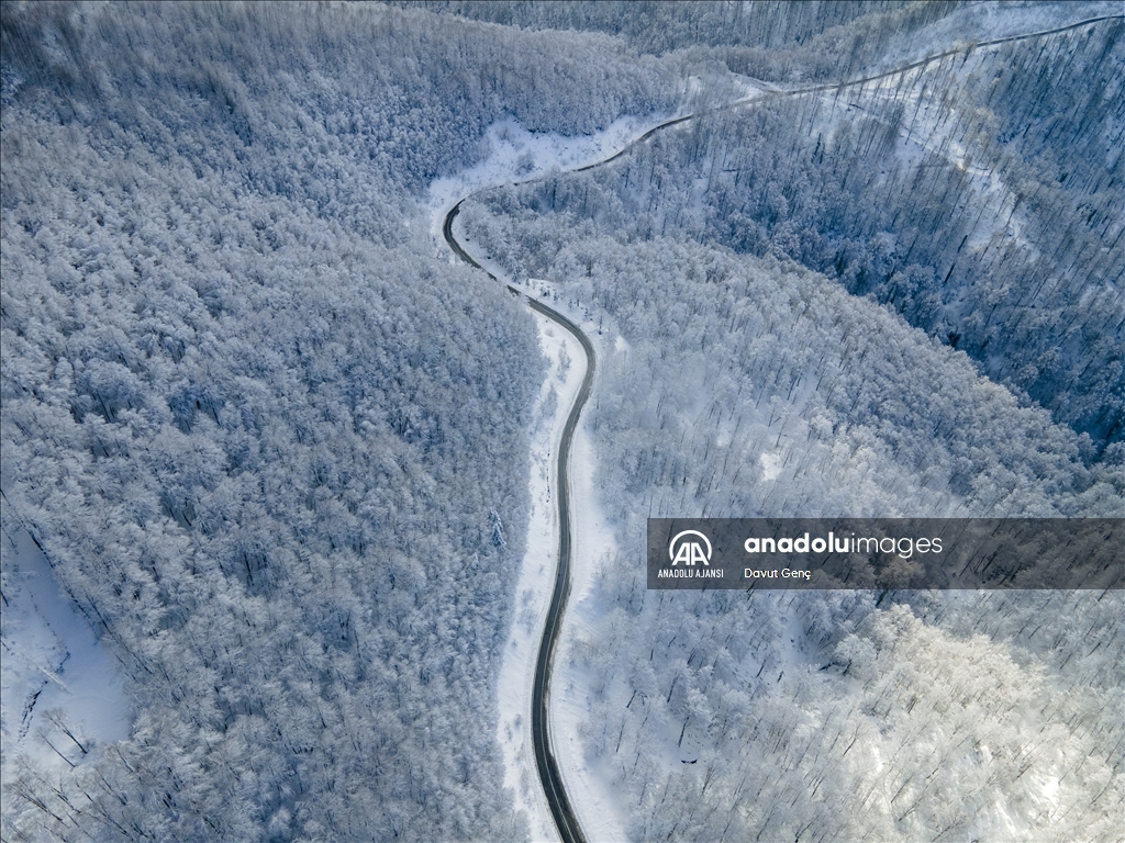 Sakarya'da karla kaplanan Çam Dağı görsel şölen sunuyor