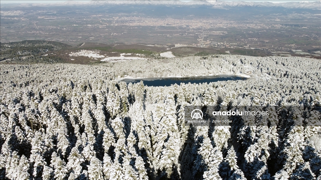 Bolu'nun karla kaplanan ormanları havadan görüntülendi