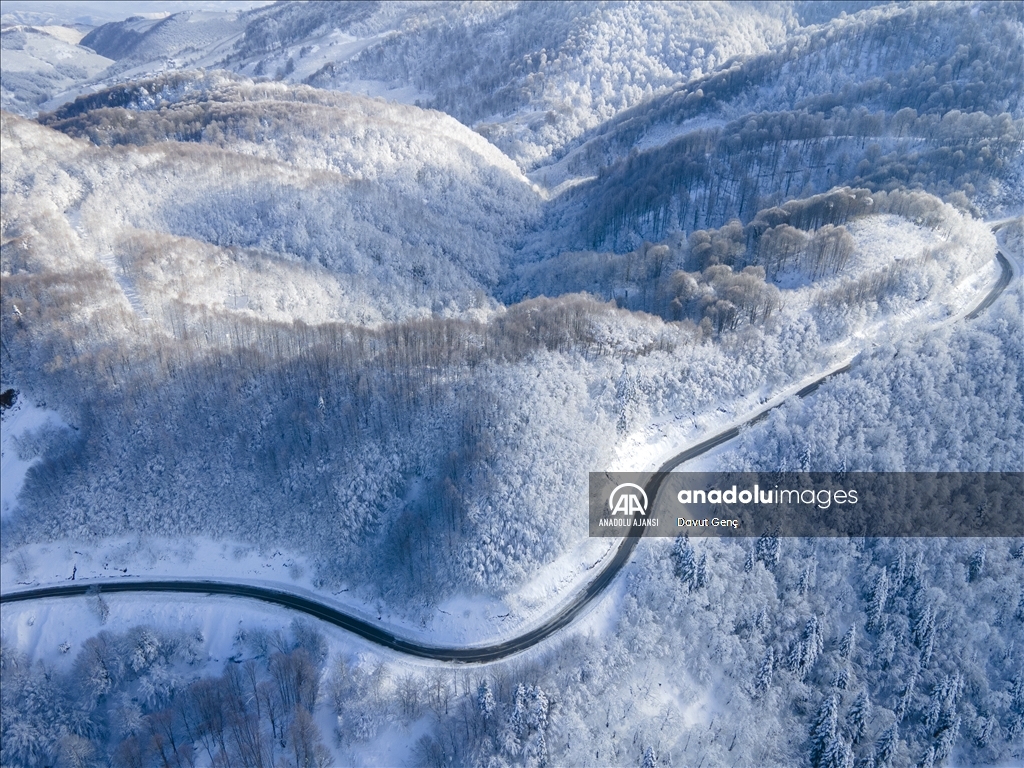 Sakarya'da karla kaplanan Çam Dağı görsel şölen sunuyor