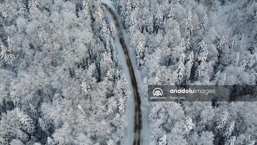 Abant'ta karla kaplı orman ve yaylalar havadan görüntülendi