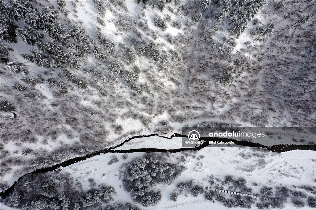 الأناضول تلتقط مشاهد جوية للثلوج في غابات 