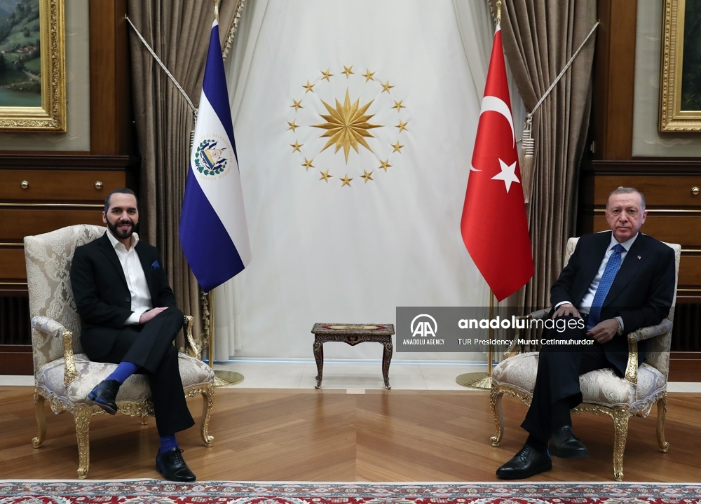 El presidente de Turquía recibe a su homólogo de El Salvador en Ankara