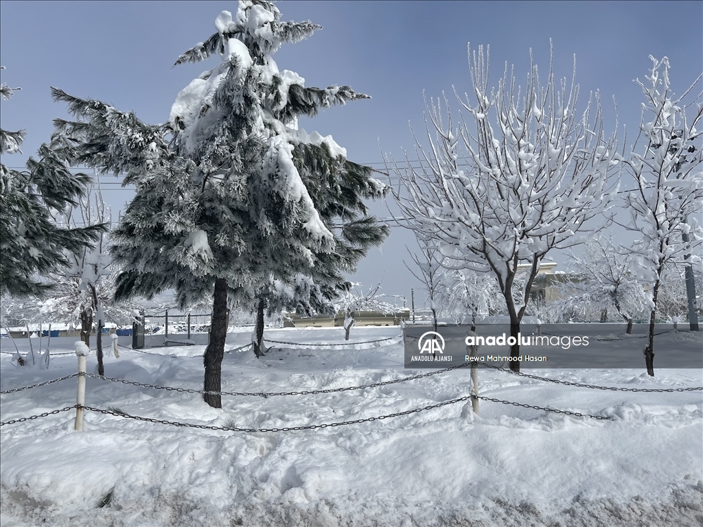 Süleymaniye'de kar yağışı