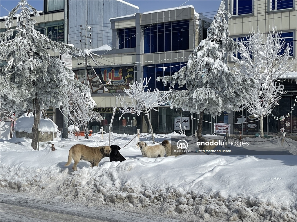 Süleymaniye'de kar yağışı
