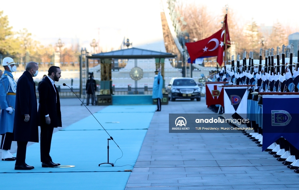 El presidente de Turquía recibe a su homólogo de El Salvador en Ankara