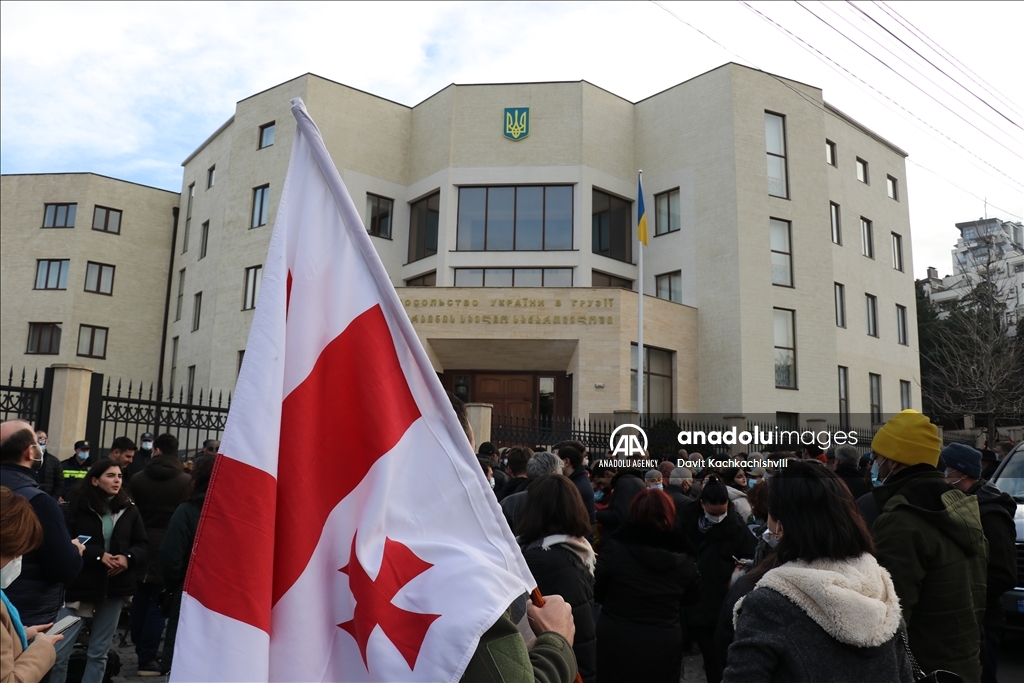 شارك في المظاهرة ممثلو أحزاب المعارضة في جورجيا، إلى جانب أفراد من الجالية الأوكرانية في تبليسي