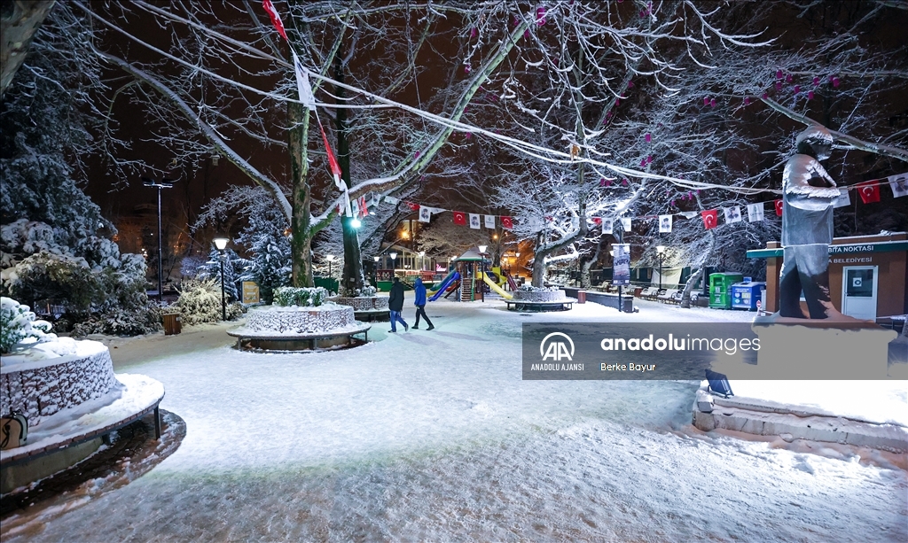 Ankara'nın simgelerinden Kuğulu Park beyaza büründü