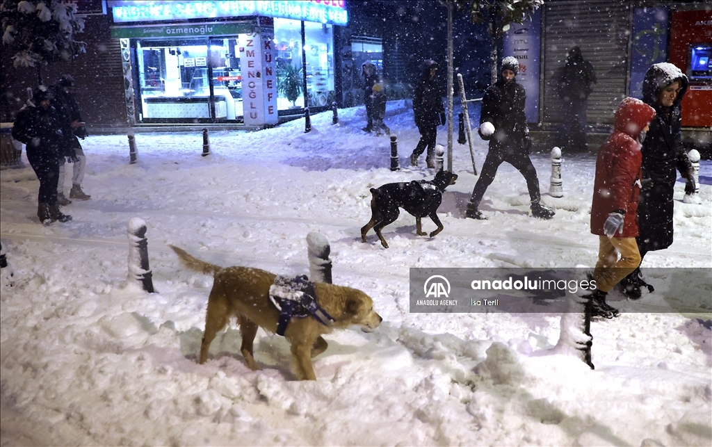 Heavy snow hits Turkiye’s Istanbul