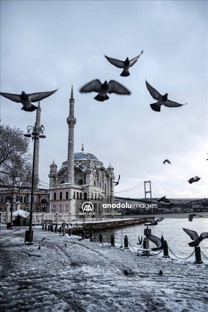 استانبول جامه سفید بر تن کرد