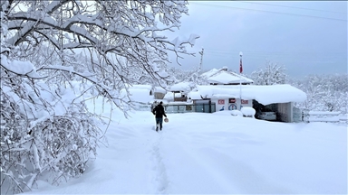 Сильные снегопады и морозы охватили большую часть территории Турции