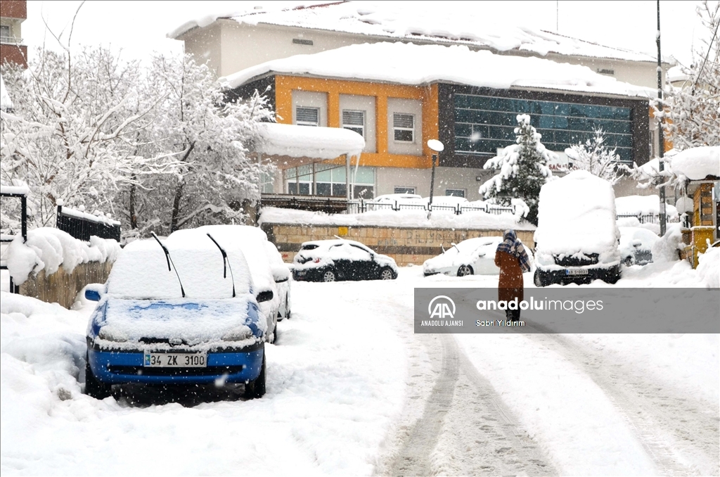 Muş'ta kar yağışı etkili oldu