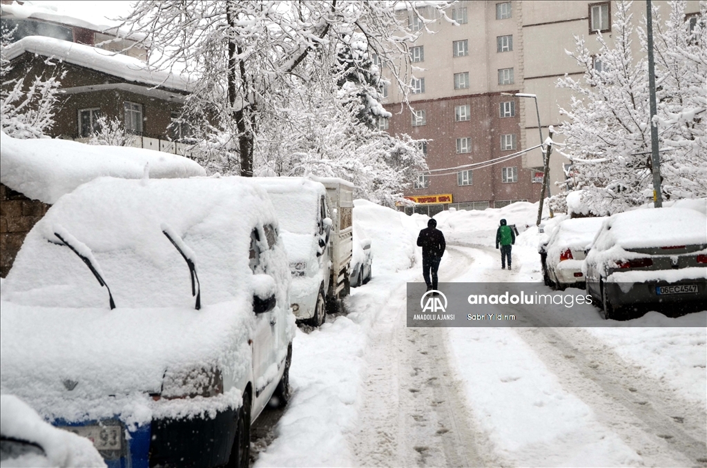 Muş'ta kar yağışı etkili oldu