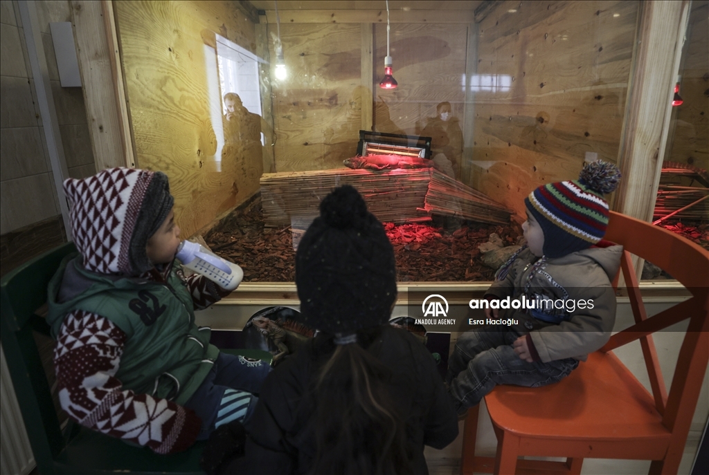 أطفال سوريون وعراقيون يزورون حديقة حيوانات بأنقرة