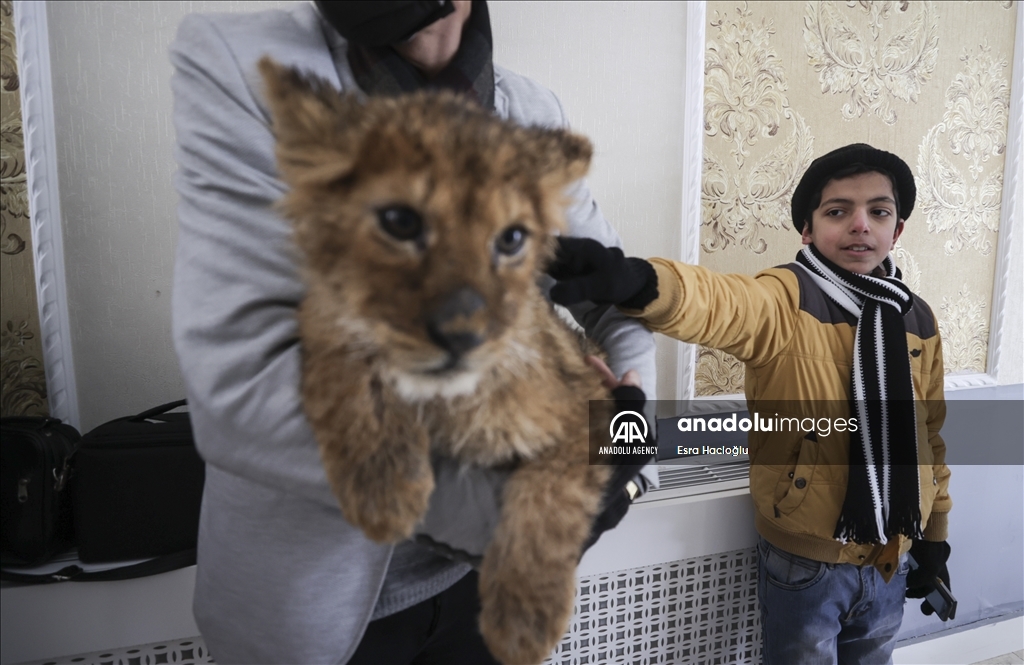أطفال سوريون وعراقيون يزورون حديقة حيوانات بأنقرة