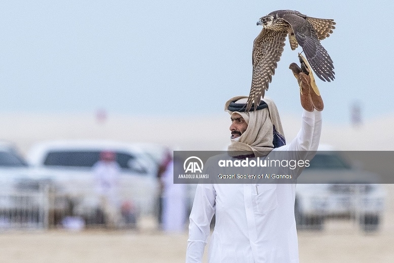 Katar'da kadim bir geleneğin yaşatıldığı etkinlik: Şahin Festivali