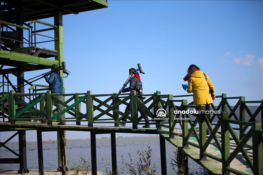 Çukurova Deltası göçmen misafirlerini ağırlıyor